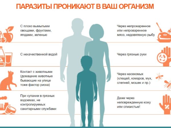 Как можно заразиться глистами и практика лечения