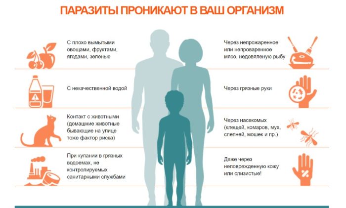 Как можно заразиться глистами и практика лечения