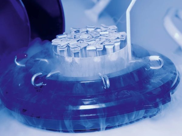 Что такое криоконсервация