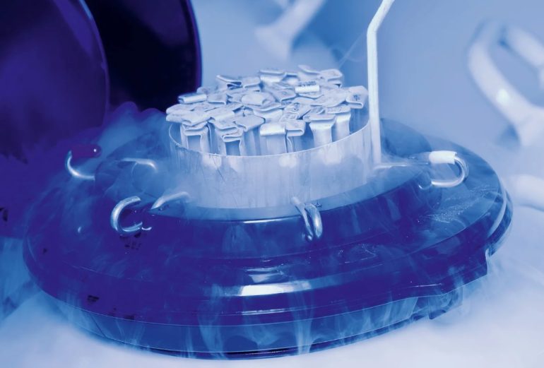 Что такое криоконсервация